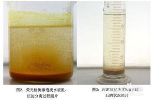 总结聚丙烯酰胺发生化学反应时沉淀的技术流程沉淀是发生化学反应时生成了不溶于反应物所在溶液的物质。